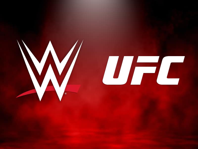 WWE and UFC joint venture