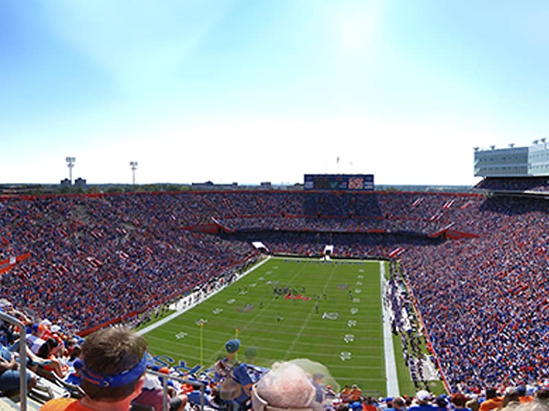 Renovation of The Swamp