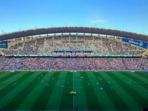 Sydney FC compensation for Allianz Stadium drainage issues
