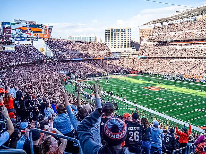 Cincinnati Bengals extend partnership with Fanatics